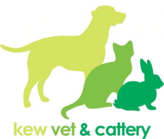 Kew Vet & Cattery