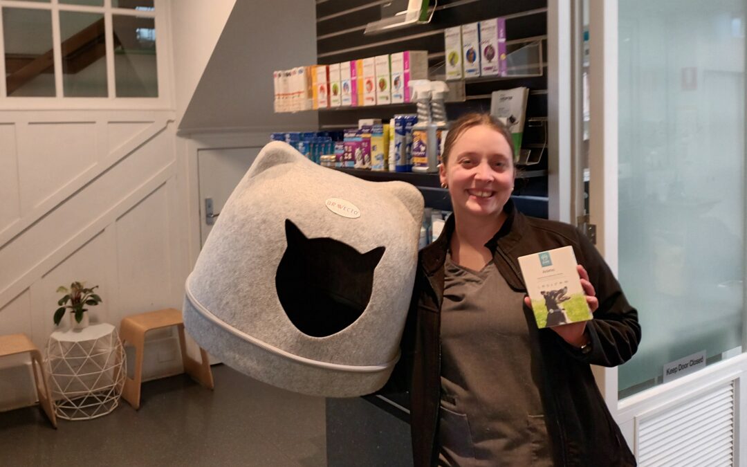 Warm Weather Winners!